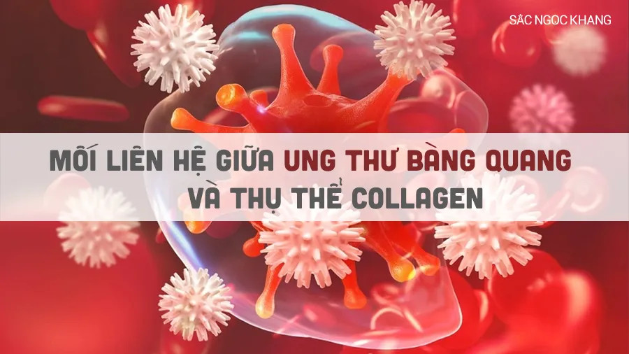 Mối liên hệ giữa ung thư bàng quang và thụ thể collagen