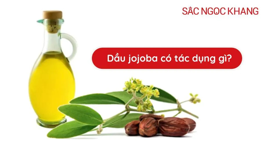 Dầu jojoba có tác dụng gì? 10 công dụng tuyệt vời cho làn da