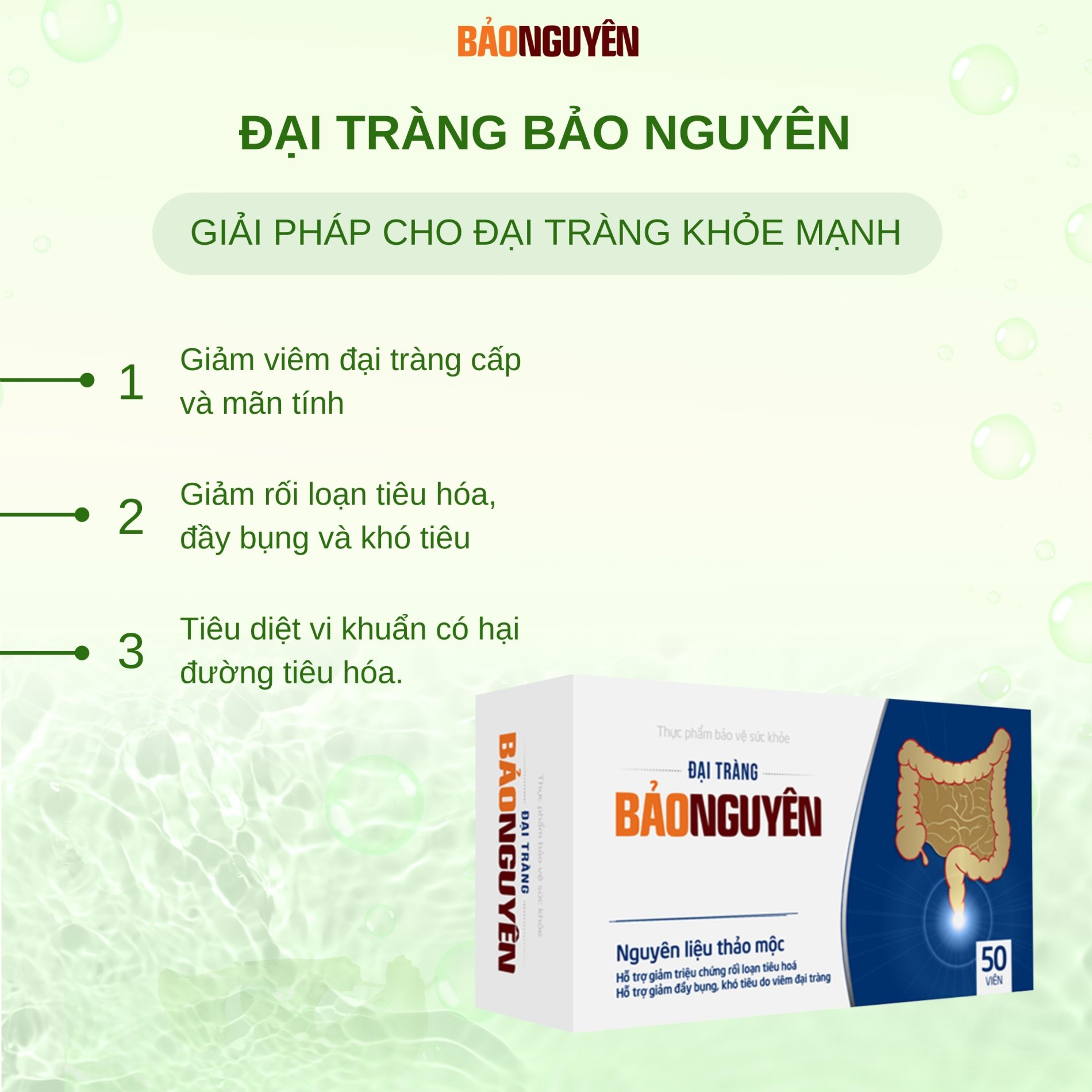 Đại Tràng Bảo Nguyên [Hộp 50 Viên]