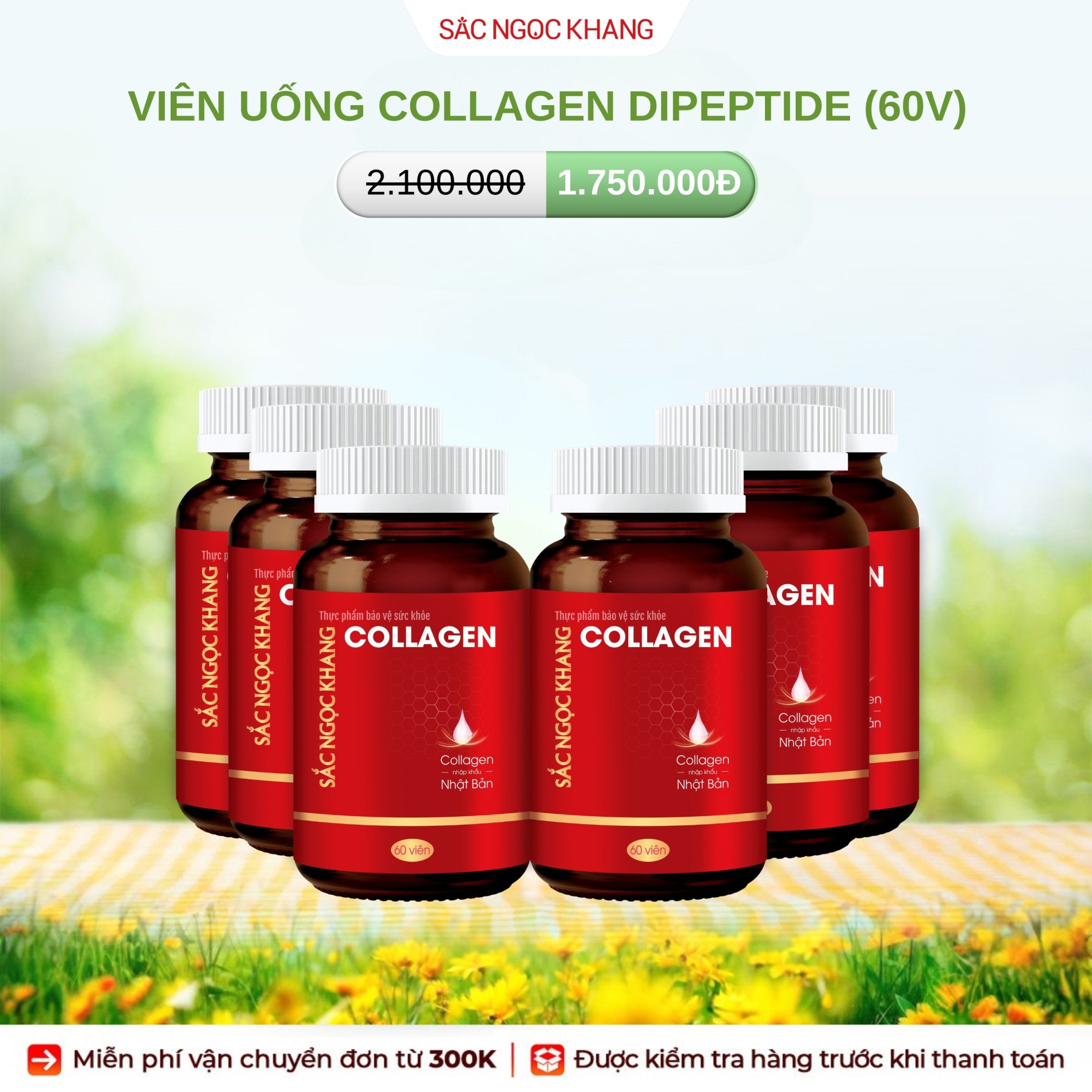 COMBO 6 Viên Uống Collagen Dipeptide [Hộp 60 Viên]