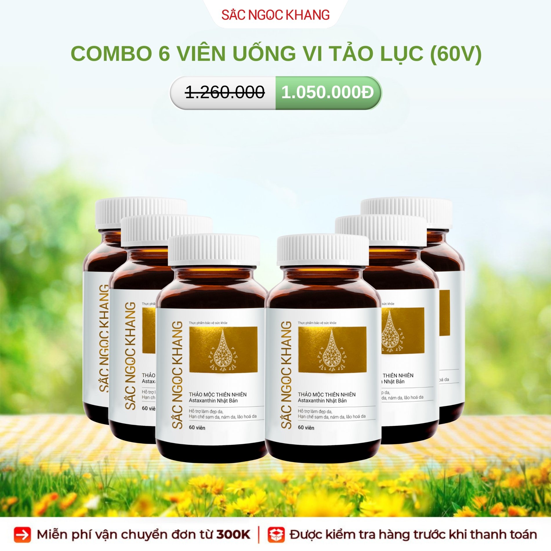 COMBO 6 Viên uống Sắc Ngọc Khang vi tảo lục [Hộp 60 Viên]