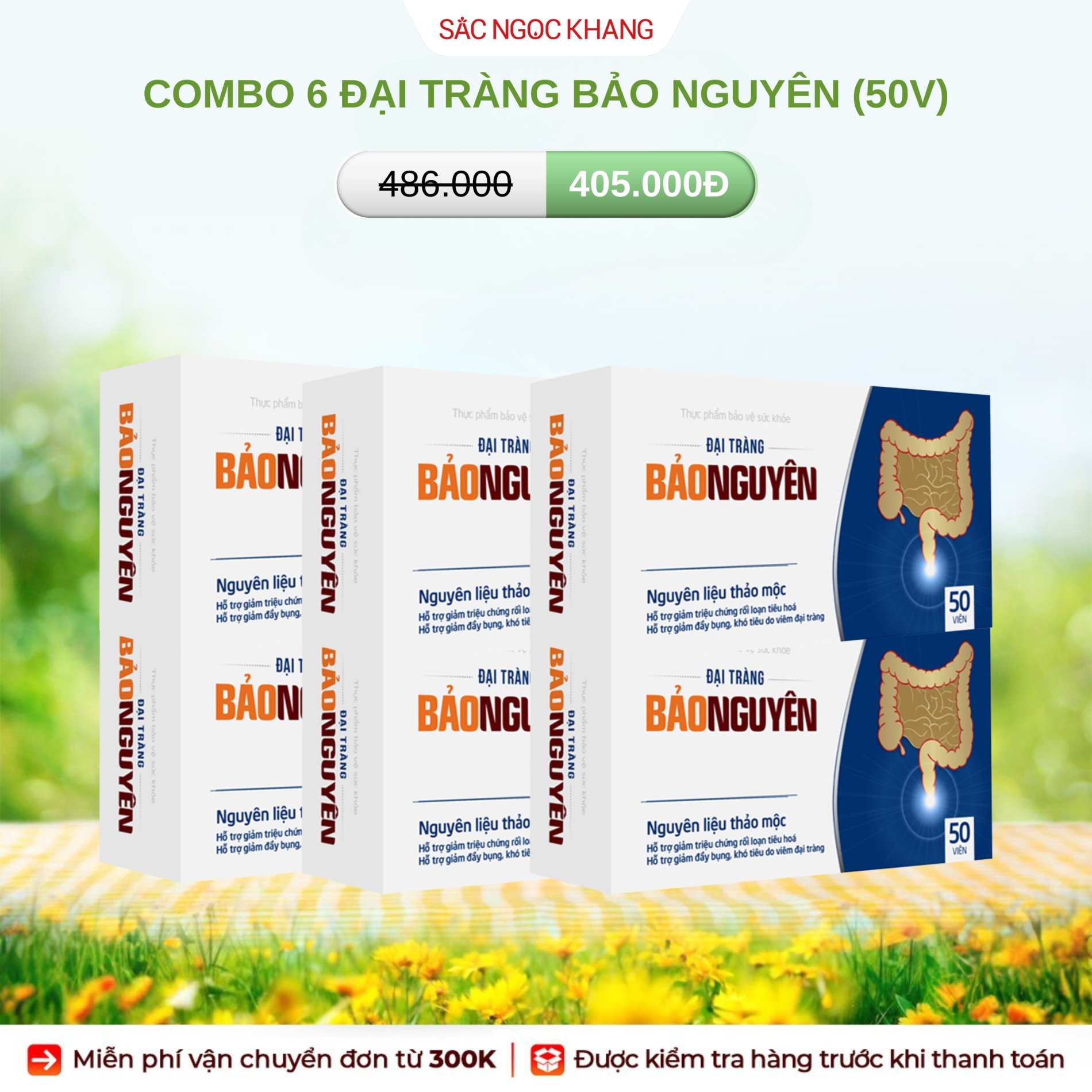COMBO 6 Đại Tràng Bảo Nguyên [Hộp 50 Viên]