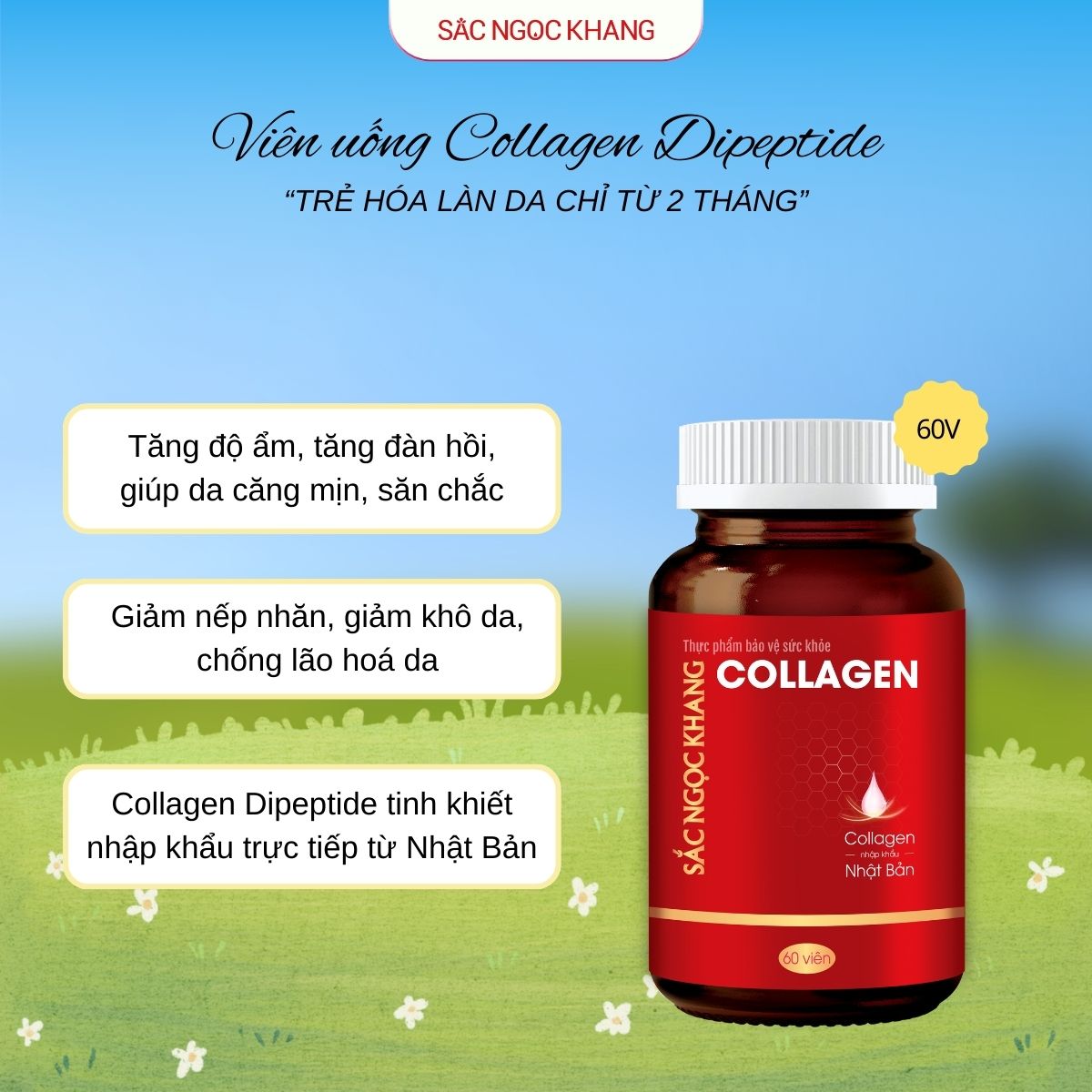 Viên Uống Collagen Dipeptide [60 Viên]