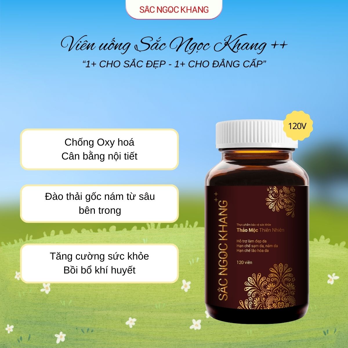 Viên Uống Sắc Ngọc Khang ++ [120 Viên]