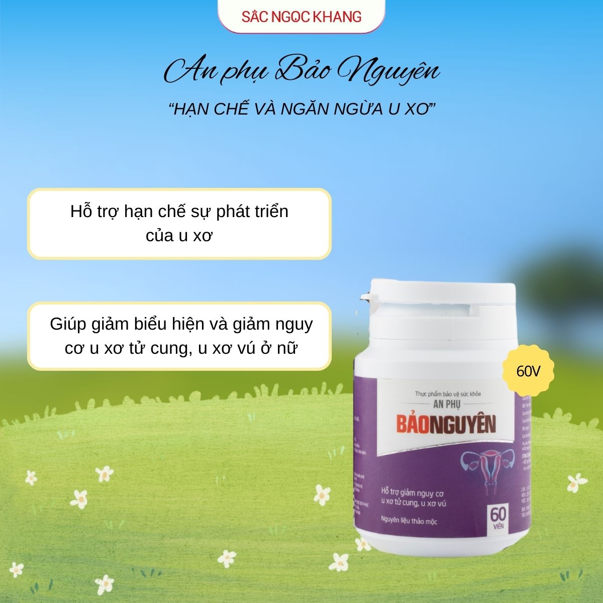 An Phụ Bảo Nguyên [60 viên]