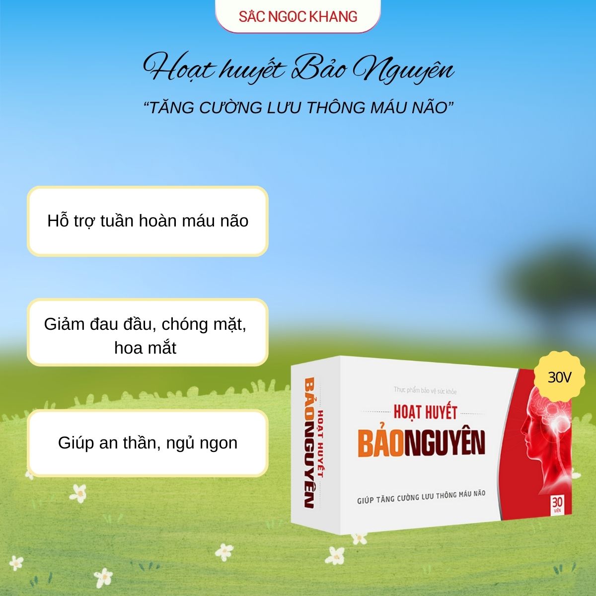 Hoạt Huyết Bảo Nguyên [30 Viên]