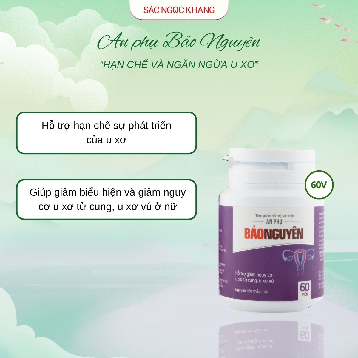 An Phụ Bảo Nguyên [60 viên]